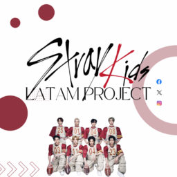 Stray Kids Latam Project